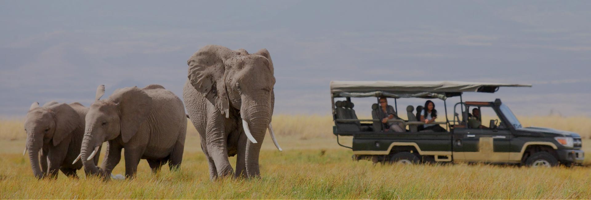 South Africa Classic Safari