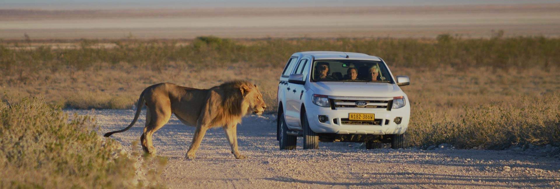 Self Drive tours Safari