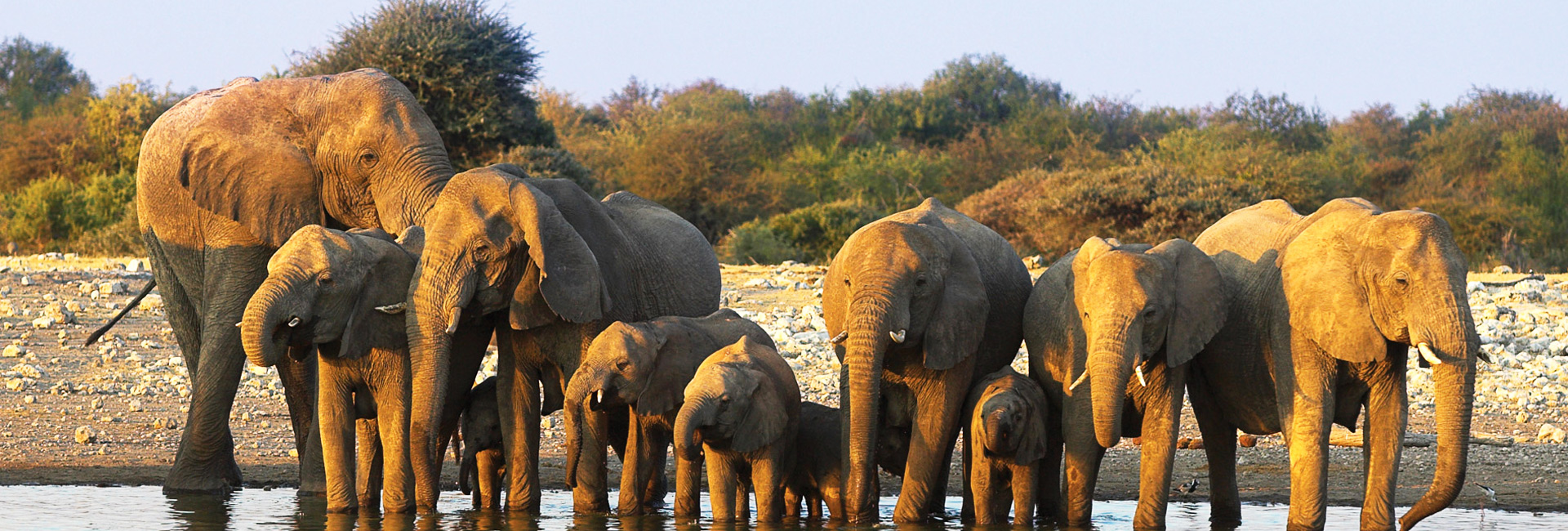 Kruger National Park Tours