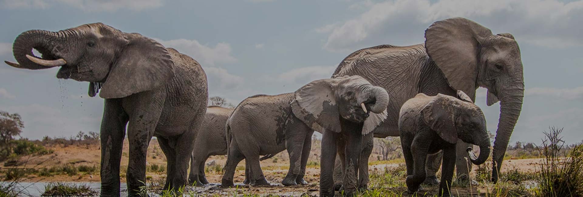 4 Days South Africa Hwange Post