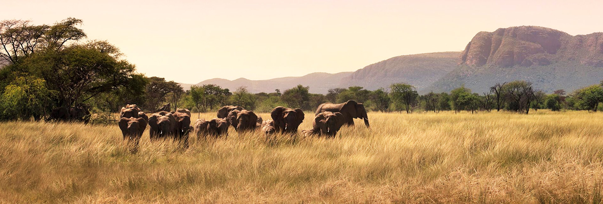 5 Day Budget Kruger Safari