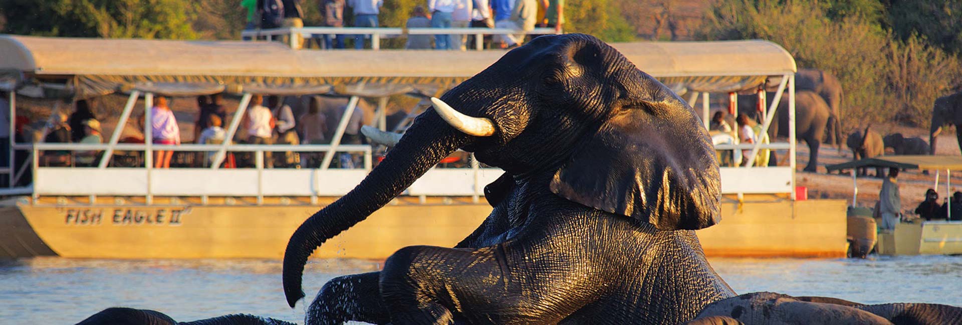 Victoria Falls & Chobe Botswana Safari 