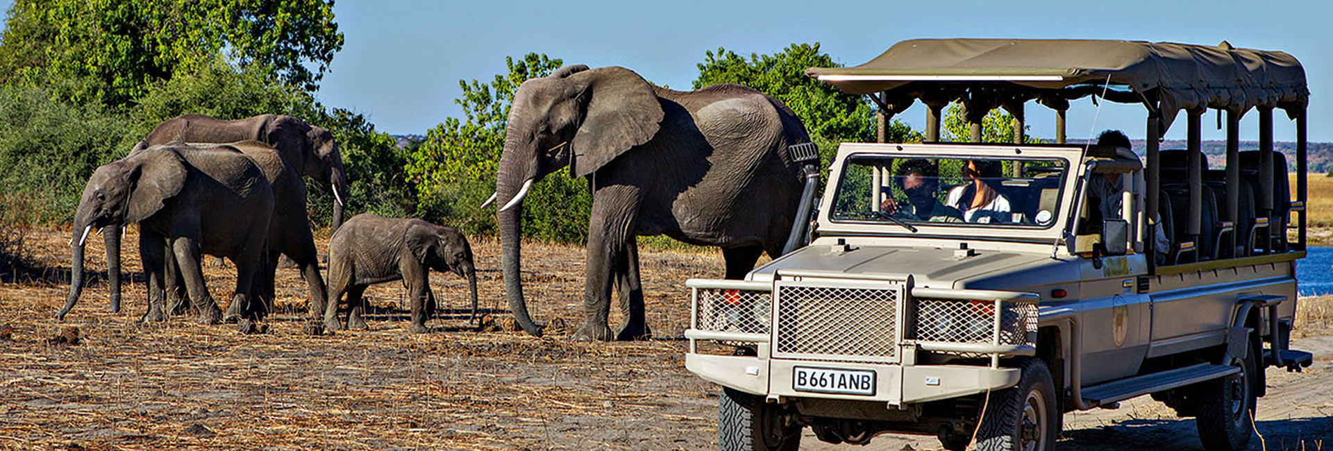 Victoria Falls and Chobe National Park Safari 