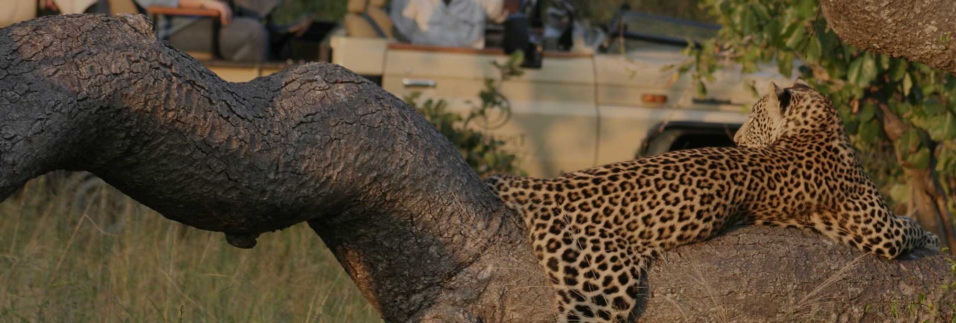 9 Days South Africa Budget Safari