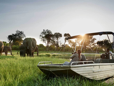 Botswana Honeymoon Safari