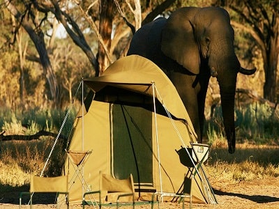 Victoria Falls Tours to okavango