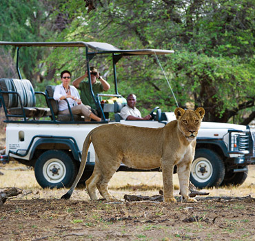 Victoria Falls Game Drives