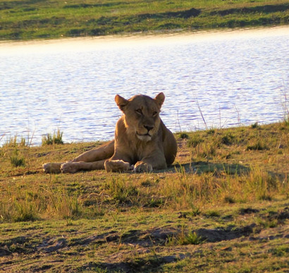 Chobe National Park