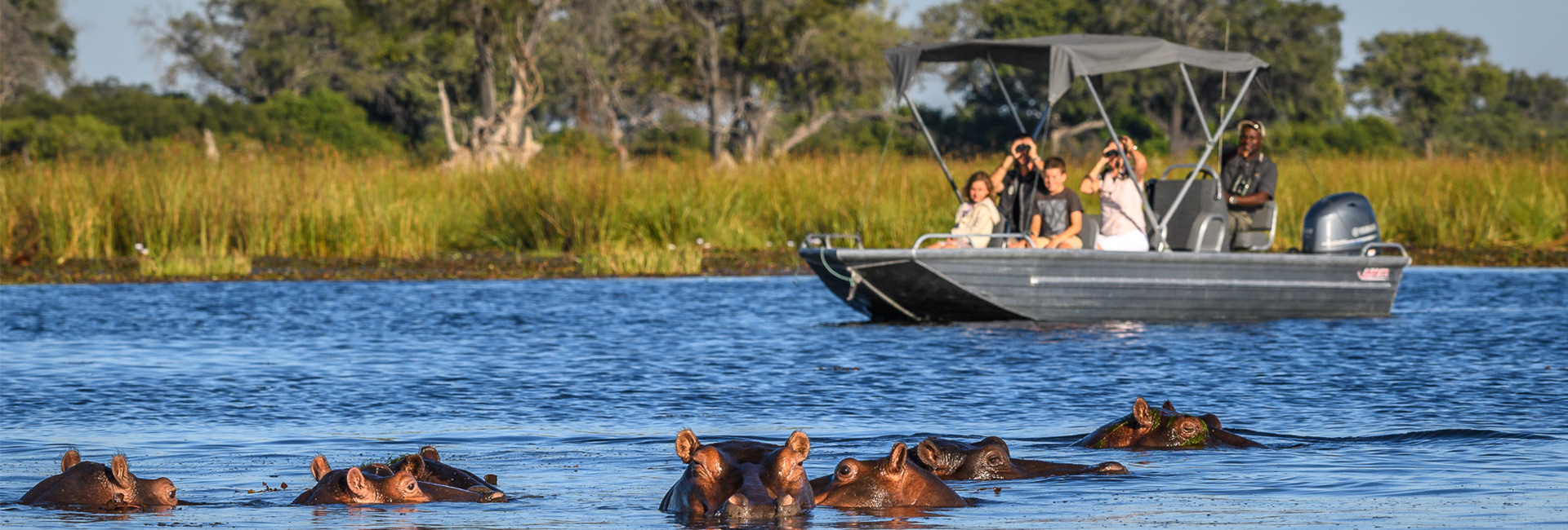 Chobe Day Trip from Victoria Falls