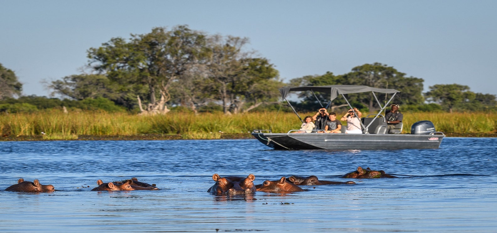 Chobe Day Trip