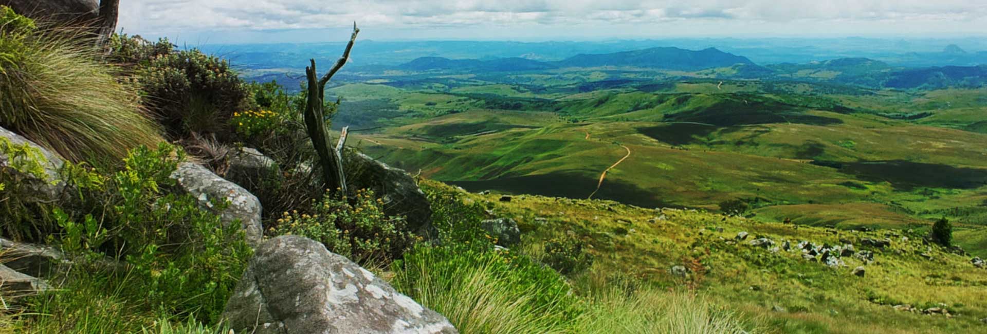 Eastern Highlands