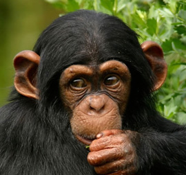 Matusadona National Park