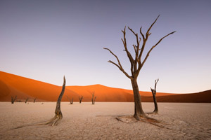About Namibia