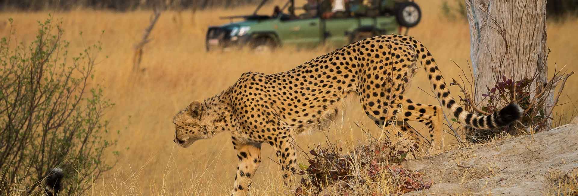 Hwange National Park