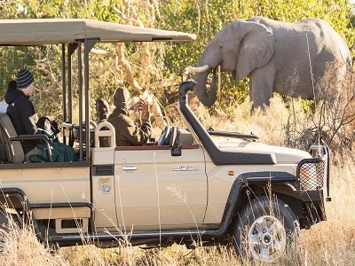 victoria falls and hwange Safari