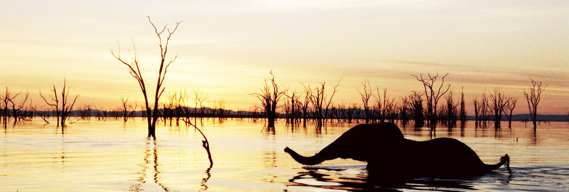 Lake Kariba Zimbabwe