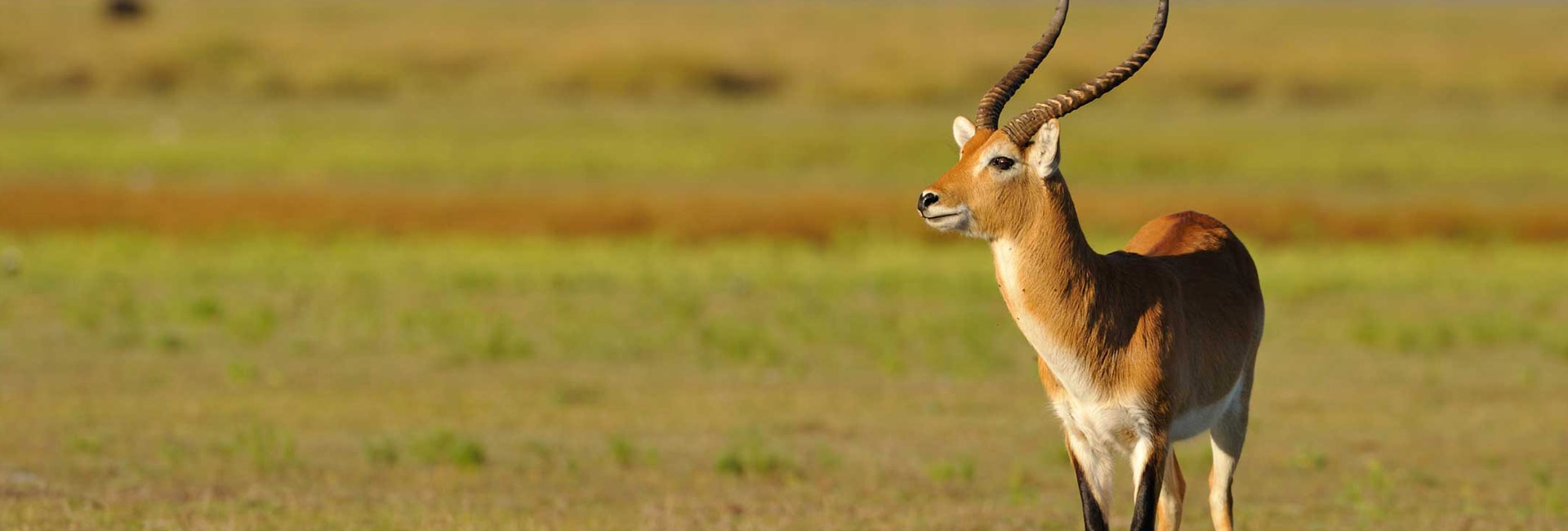 Liuwa Plain National Park