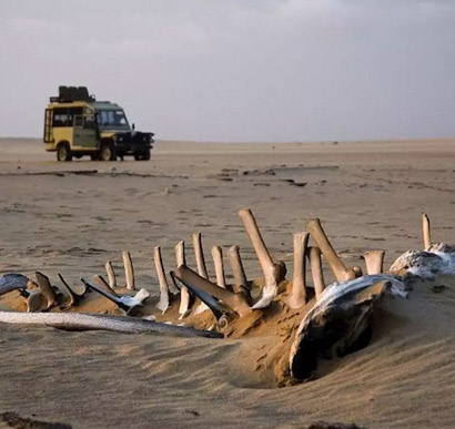 Skeleton Coast