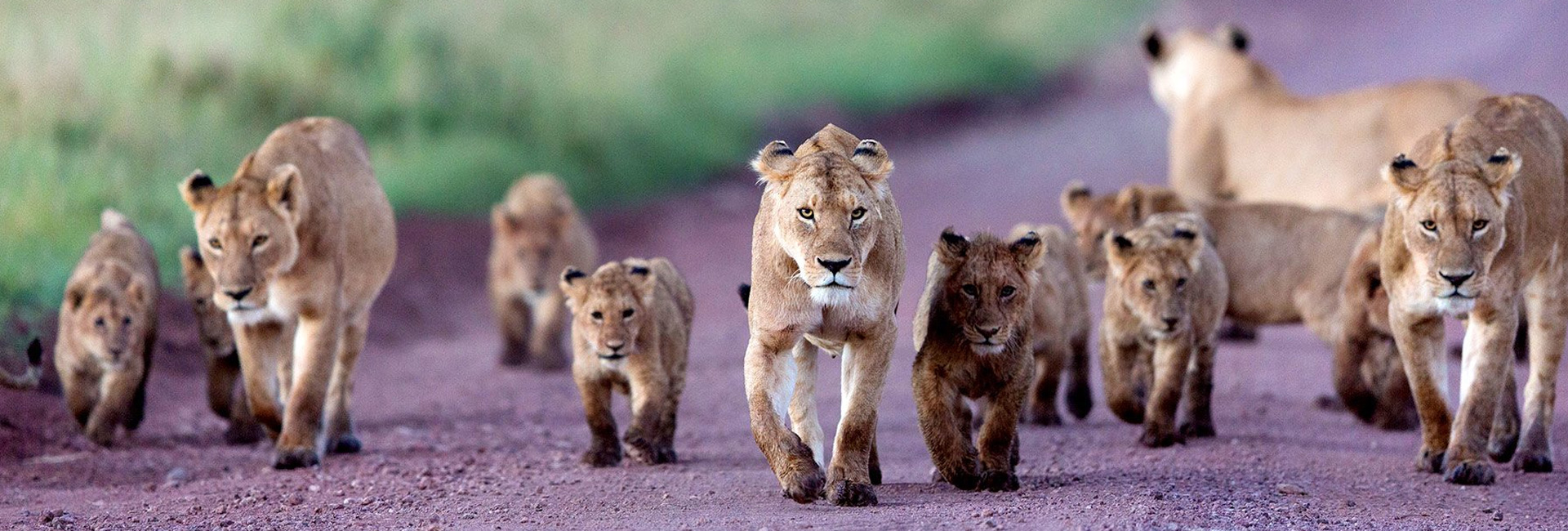 Ngorongoro Conservation Area