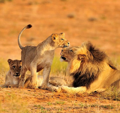 Ruaha National Park