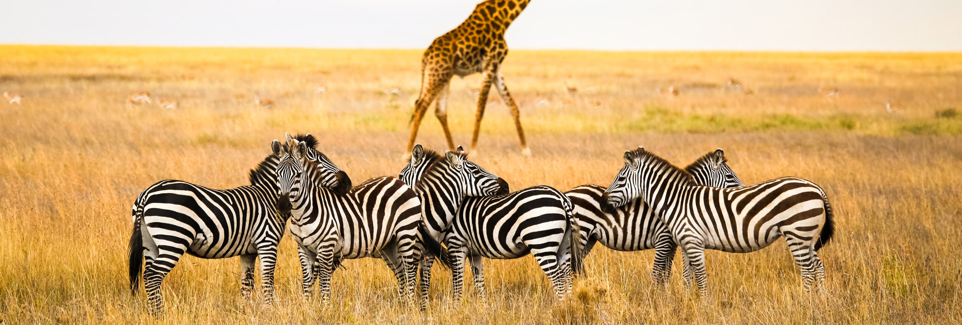 Serengeti National Park