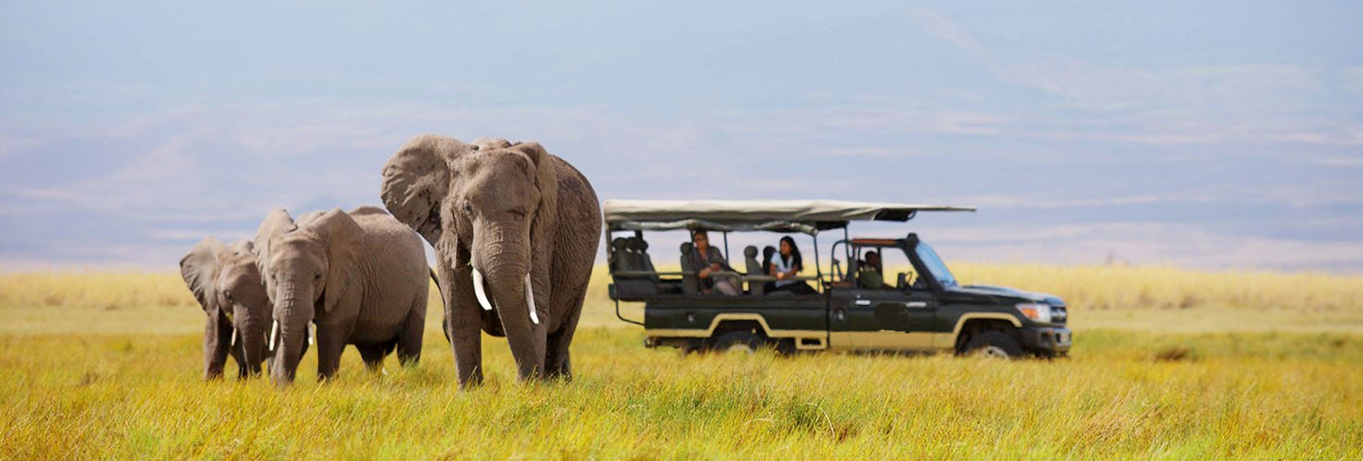 South Africa Budget Safari
