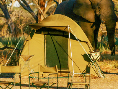 South Africa Budget Safari