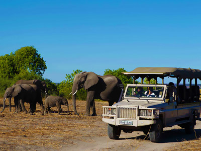 Victoria Falls to Okavango Delta Budget Safari