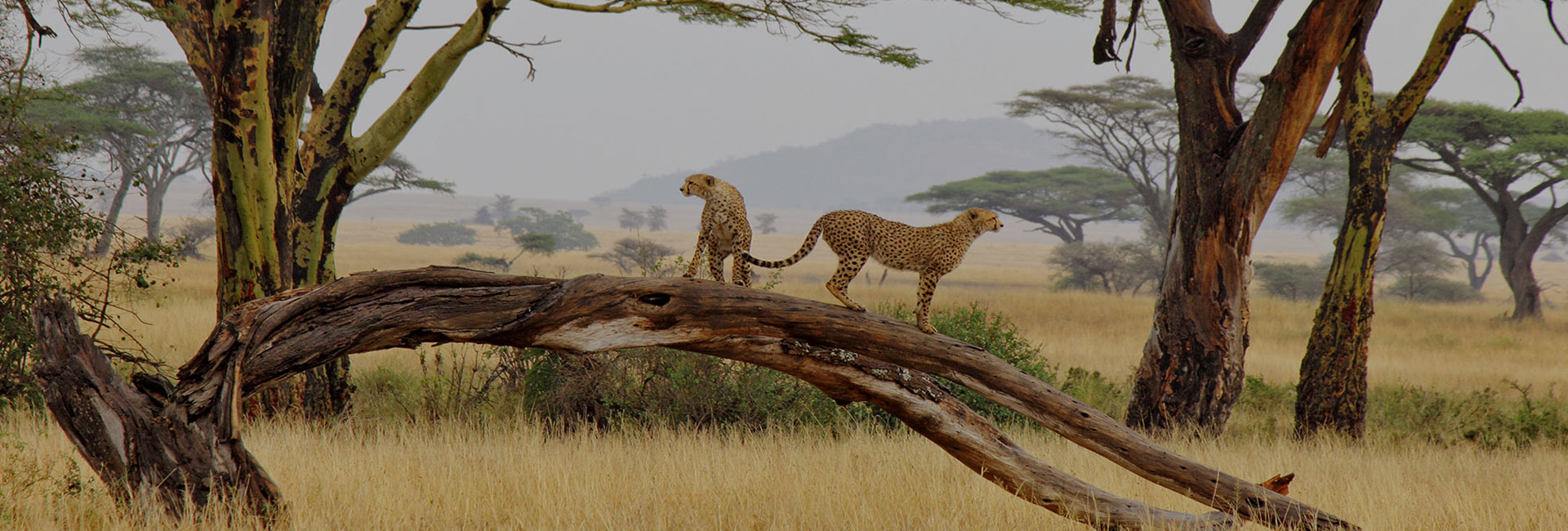 Tanzania Destinations