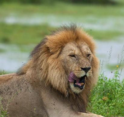 Tarangire National Park