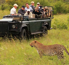 Zambia Classic Safari