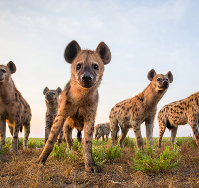 Liuwa Plain National Park