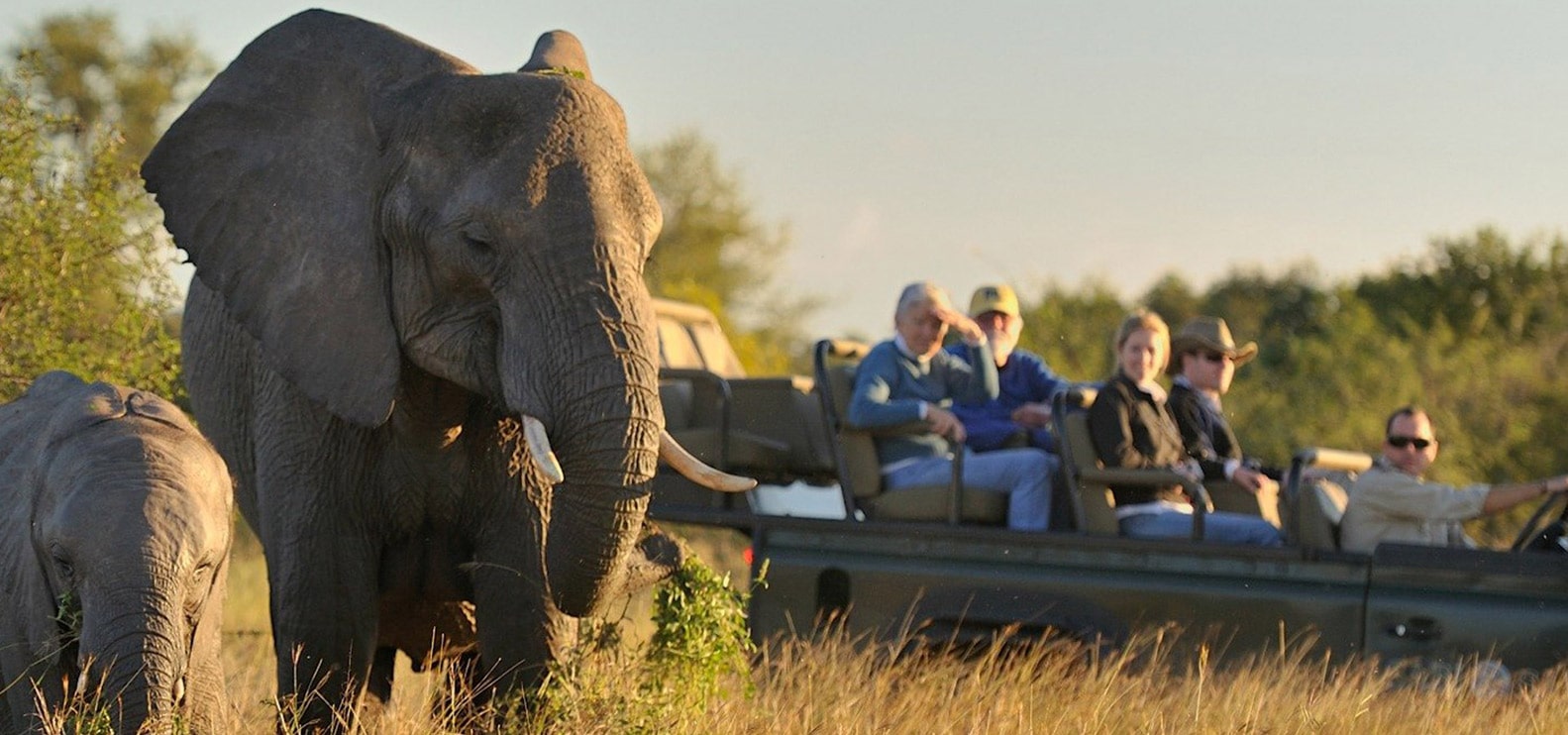 Zimbabwe Safari Tours