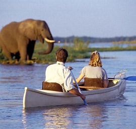 Canoe Safari