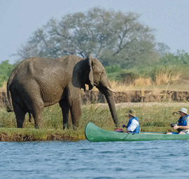 Mana-Pools National Park