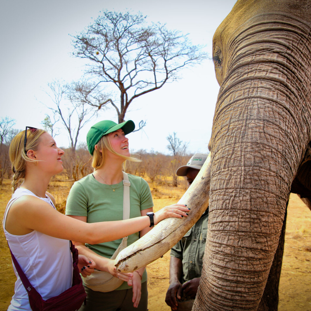 Shop Primary Image Shop Primary Image