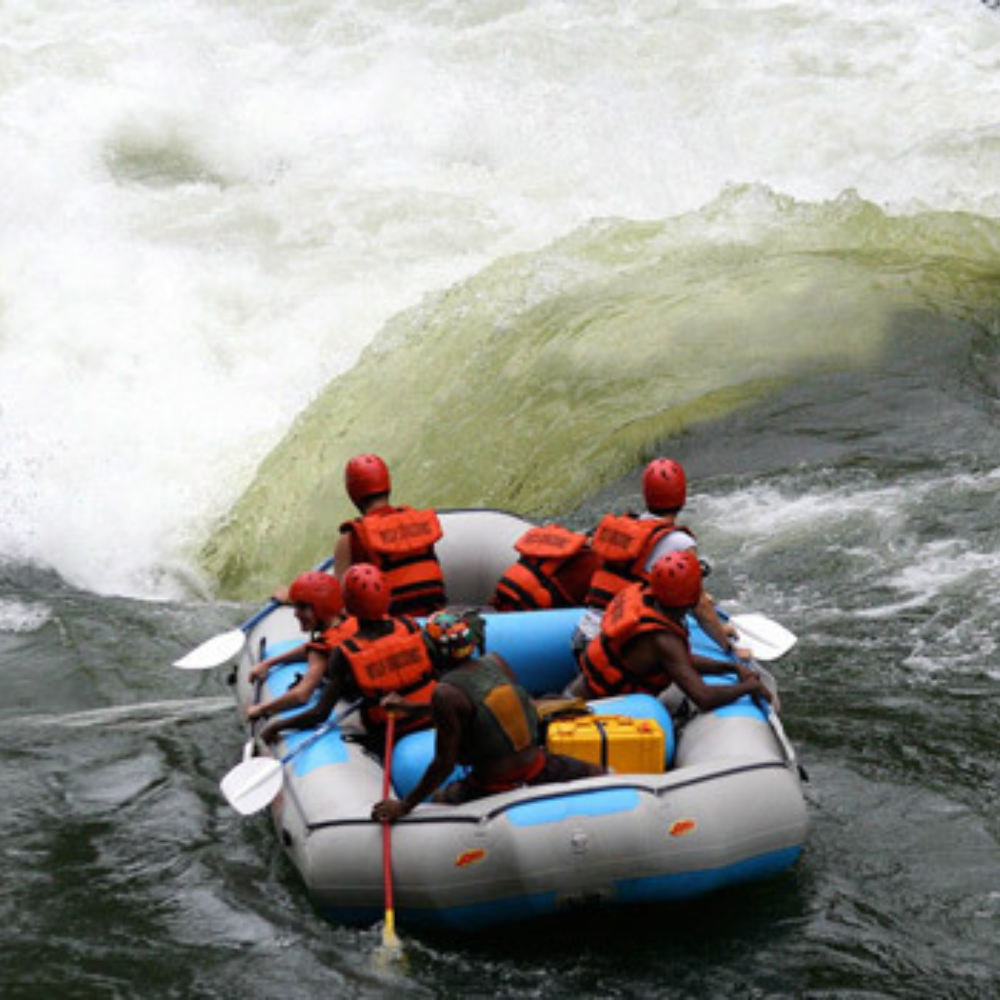 Shop Secondary Image Shop Secondary Image