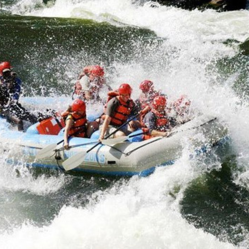 Shop Primary Image Shop Primary Image