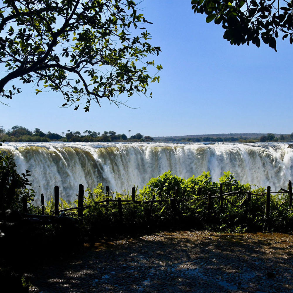 Shop Secondary Image