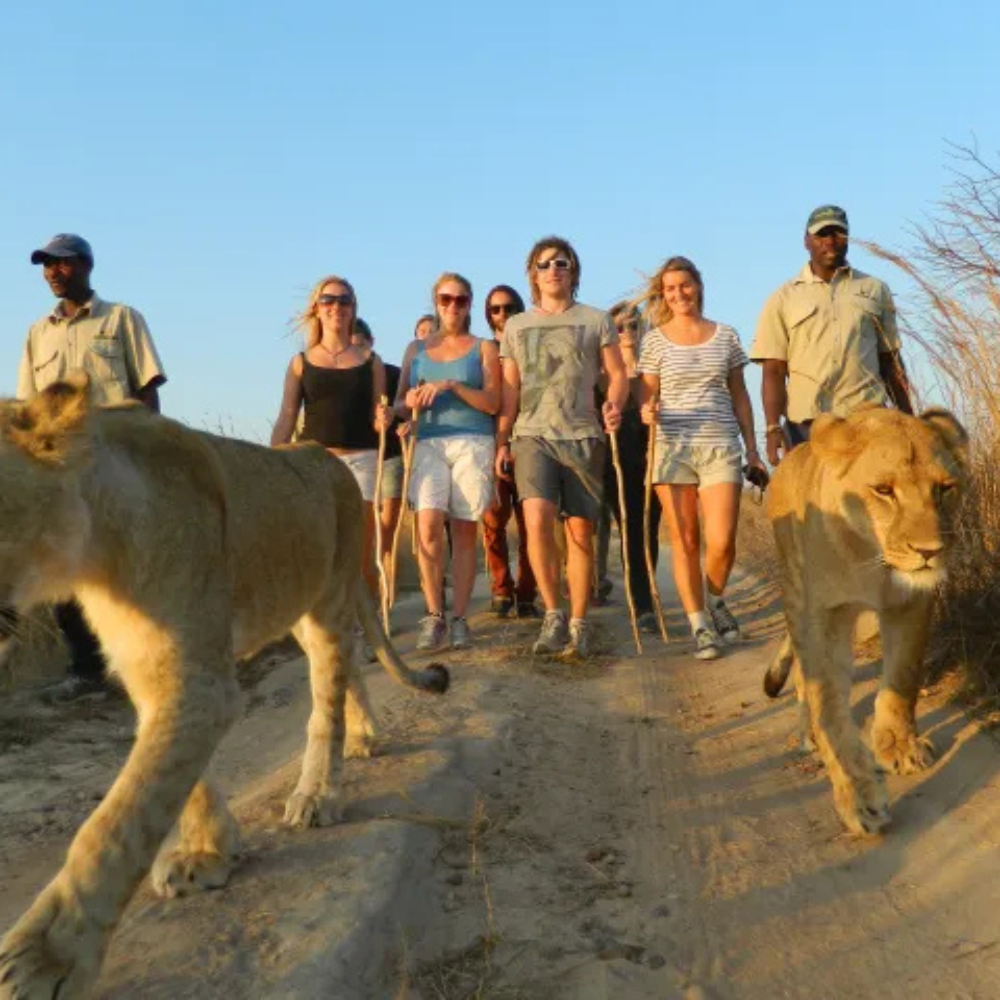 Shop Secondary Image Shop Secondary Image