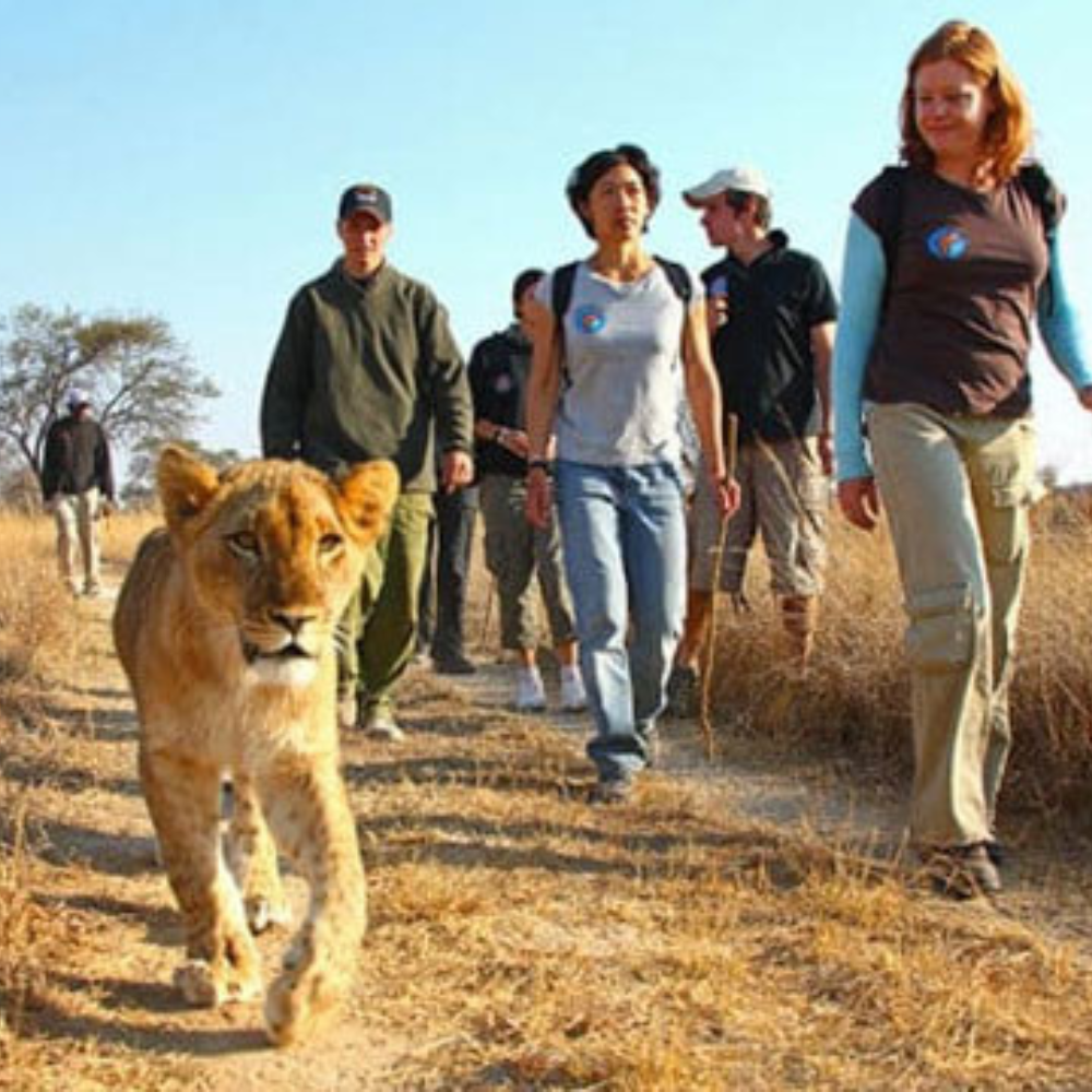 Shop Primary Image Shop Primary Image